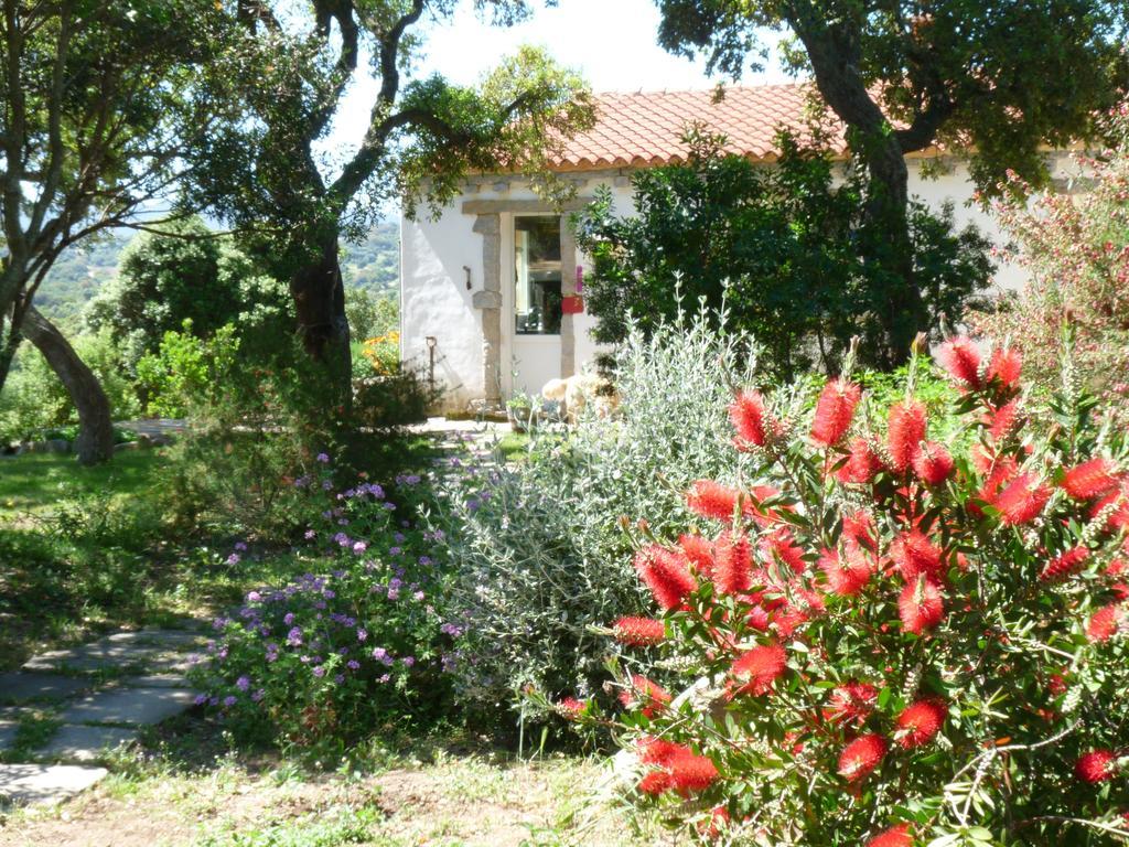 La Scala Guesthouse Berchiddeddu Eksteriør bilde